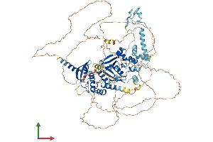AlphaFold protein structure predicition of Human Recombinant GEN1 Protein, UniprotID Q17RS7 (GEN1 Protein (AA 1-908) (His tag))