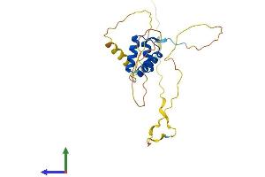 AlphaFold protein structure predicition of Human Recombinant MIXL1 Protein, UniprotID Q9H2W2