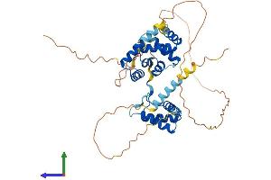 AlphaFold protein structure predicition of Mouse Recombinant Hmbox1 Protein, UniprotID Q8BJA3 (HMBOX1 Protein (AA 1-419) (His tag))