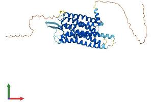 AlphaFold protein structure predicition of Mouse Recombinant Grpr Protein, UniprotID P21729