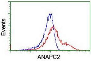 HEK293T cells transfected with either RC207539 overexpress plasmid (Red) or empty vector control plasmid (Blue) were immunostained by anti-ANAPC2 antibody (ABIN2454934), and then analyzed by flow cytometry. (ANAPC2 antibody)