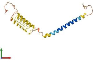 AlphaFold protein structure predicition of Mouse Recombinant Krtap5-3 Protein, UniprotID Q9D226