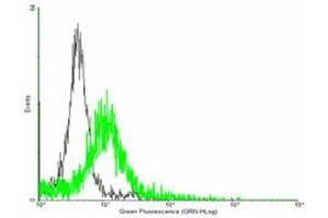 FACS analysis of negative control 293 cells (Black) and SMAD6 expressing 293 cells (Green) using SMAD6 purified MaxPab mouse polyclonal antibody. (SMAD6 antibody  (AA 1-496))
