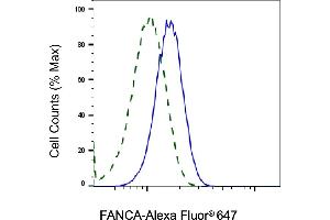 Validation of FANCA knockdown using flow cytometry. (Recombinant FANCA antibody)