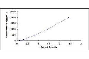 Procollagen II C-Terminal Propeptide (PIICP) ELISA Kit
