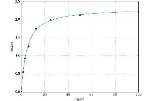 Versican (Vcan) ELISA Kit