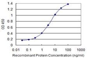 Detection limit for recombinant GST tagged DNAJC2 is 0. (DNAJC2 antibody  (AA 408-508))