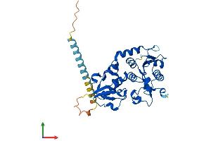 AlphaFold protein structure predicition of Mouse Recombinant Fut2 Protein, UniprotID Q9JL27