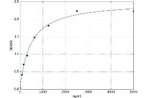 Pancreatic Lipase (PNLIP) ELISA Kit