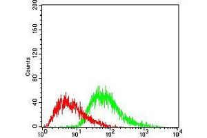 Flow cytometric analysis of Hela cells using PPARGC1B mouse mAb (green) and negative control (red). (PPARGC1B antibody  (AA 195-414))