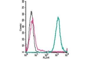 Cell surface detection of P2Y6 by direct flow cytometry in live intact mouse J774 macrophage cells: (black line) Cells. (P2RY6 antibody  (Extracellular, Loop 2) (PE))
