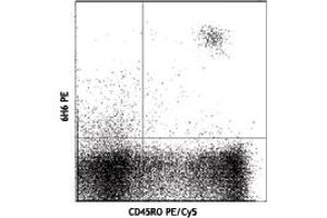 Image no. 1 for anti-Interleukin 3 Receptor, alpha (IL3RA) antibody (ABIN205441) (IL3RA antibody)