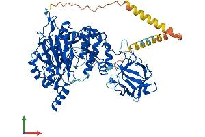 AlphaFold protein structure predicition of Human Recombinant GALNT6 Protein, UniprotID Q8NCL4 (GALNT6 Protein (AA 1-622) (His tag))