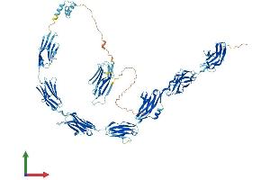 AlphaFold protein structure predicition of Human Recombinant IGSF22 Protein, UniprotID Q8N9C0 (IGSF22 Protein (AA 1-903) (His tag))