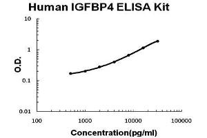 Human IGFBP4 PicoKine ELISA Kit standard curve (IGFBP4 ELISA Kit)
