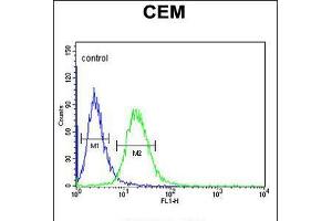 Flow Cytometry (FACS) image for anti-gamma-aminobutyric Acid (GABA) A Receptor, alpha 4 (GABRA4) (AA 350-377) antibody (ABIN5536150)