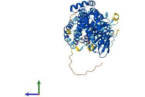 AlphaFold protein structure predicition of Mouse Recombinant Ehd2 Protein, UniprotID Q8BH64