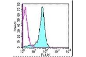 Image no. 1 for anti-CD2 (CD2) antibody (FITC) (ABIN475151) (CD2 antibody  (FITC))