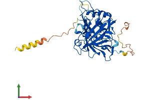 AlphaFold protein structure predicition of Human Recombinant CA10 Protein, UniprotID Q9NS85 (CA10 Protein (AA 1-328) (His tag))