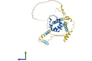 AlphaFold protein structure predicition of Mouse Recombinant Syap1 Protein, UniprotID Q9D5V6 (SYAP1 Protein (AA 1-365) (His tag))