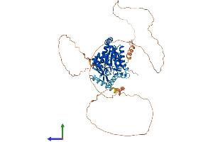 AlphaFold protein structure predicition of Human Recombinant CDYL Protein, UniprotID Q9Y232 (CDYL Protein (AA 1-598) (His tag))