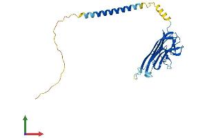 AlphaFold protein structure predicition of Human Recombinant TNFSF14 Protein, UniprotID O43557 (TNFSF14 Protein (AA 1-240) (His tag))