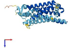Olfactory Receptor, Family 2, Subfamily A, Member 12 (OR2A12) (AA 1-310) protein (His tag)