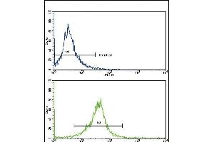 Flow cytometric analysis of K562 cells using CACNG5 Antibody (C-term)(bottom histogram) compared to a negative control cell (top histogram). (CACNG5 antibody  (C-Term))