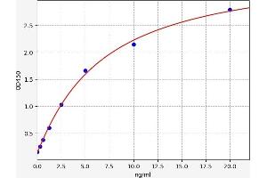 Typical standard curve (ZNF335 ELISA Kit)