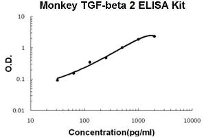 Monkey Primate TGF-beta 2 PicoKine ELISA Kit standard curve (TGFB2 ELISA Kit)