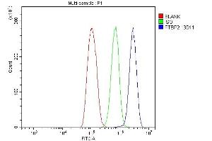 Flow Cytometry analysis of THP-1 cells using anti-PTBP2 antibody (ABIN7599453). (PTBP2 antibody  (AA 1-504))