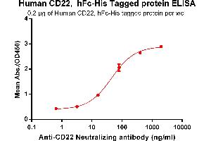 CD22 Molecule (CD22) (AA 20-687) protein (Fc-His Tag)