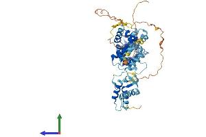 AlphaFold protein structure predicition of Mouse Recombinant Depdc1b Protein, UniprotID Q8BH88