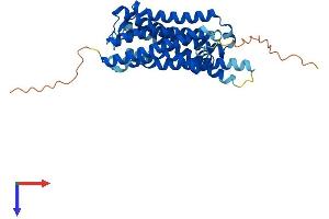 AlphaFold protein structure predicition of Human Recombinant RRH Protein, UniprotID O14718 (Peropsin Protein (RRH) (AA 1-337) (His tag))