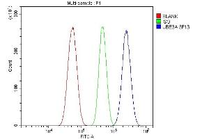 Flow Cytometry analysis of U87 cells using anti-UBE3A antibody (ABIN7599563). (ube3a antibody  (AA 1-860))
