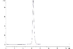 Size-exclusion chromatography-High Pressure Liquid Chromatography (SEC-HPLC) image for Programmed Cell Death 1 (PDCD1) (AA 25-167) protein (Fc Tag) (ABIN7275419)