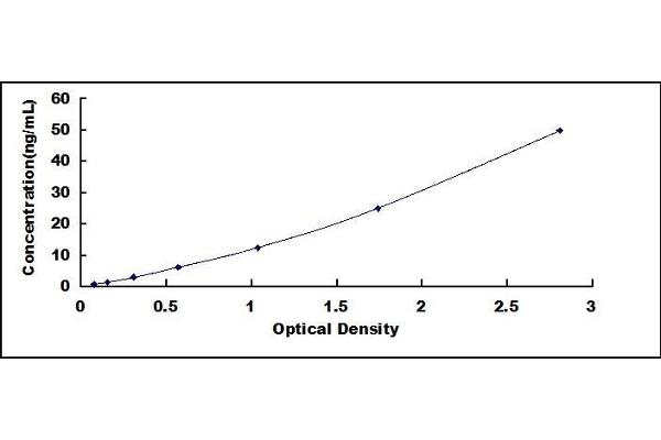 Lactate Dehydrogenase ELISA Kit