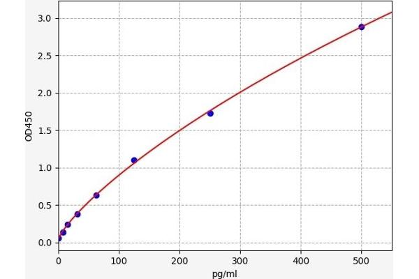 Amylin/DAP ELISA Kit