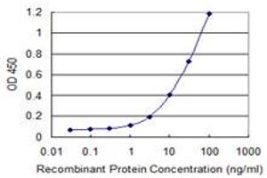 Detection limit for recombinant GST tagged PAEP is 0. (PAEP antibody  (AA 53-162))