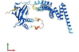 Protein Structure (PS) image for Aryl Hydrocarbon Receptor Interacting Protein-Like 1 (AIPL1) (AA 1-328) protein (His tag) (ABIN7560255)