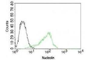Flow cytometry testing of human 293 cells and  Alexa Fluor 488-labeled Nucleolin antibody (green).