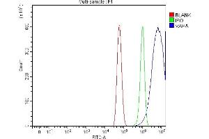 Flow Cytometry analysis of U87 cells using anti-VAPA antibody (ABIN7603249). (VAPA antibody  (N-Term))