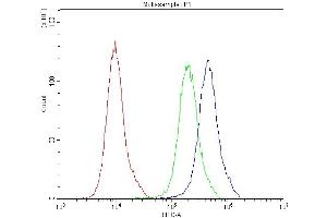 anti-Aquaporin 2 (Collecting Duct) (AQP2) (AA 241-271), (C-Term) antibody