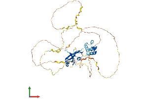 AlphaFold protein structure predicition of Mouse Recombinant Lcp2 Protein, UniprotID Q60787 (LCP2 Protein (AA 1-533) (His tag))