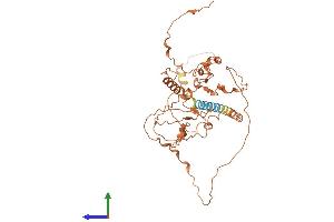 AlphaFold protein structure predicition of Human Recombinant FAM157C Protein, UniprotID P0CG43 (FAM157C Protein (AA 1-387) (His tag))