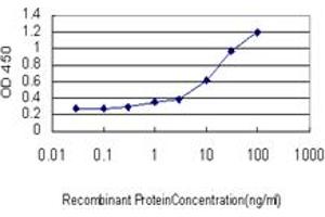 Detection limit for recombinant GST tagged ASCL1 is approximately 1ng/ml as a capture antibody. (ASCL1 antibody  (AA 137-236))