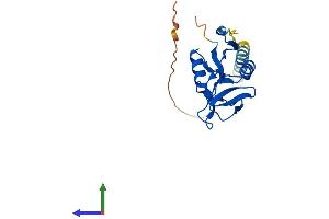 AlphaFold protein structure predicition of Mouse Recombinant Clec2f Protein, UniprotID Q8VI21 (Clec2f Protein (AA 1-196) (His tag))