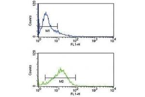 IRF8 antibody flow cytometry analysis of Jurkat cells (green) compared to a negative control (blue). (IRF8 antibody  (AA 241-269))