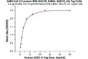 Immobilized SARS-CoV-2 S protein RBD (K417N, E484K, N501Y), His Tag (ABIN6973240) at 1 μg/mL (100 μL/well) can bind Human ACE2, Fc Tag (ABIN6952459,ABIN6952465) with a linear range of 0.