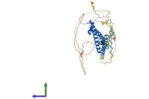 AlphaFold protein structure predicition of Mouse Recombinant Supt7l Protein, UniprotID Q9CZV5